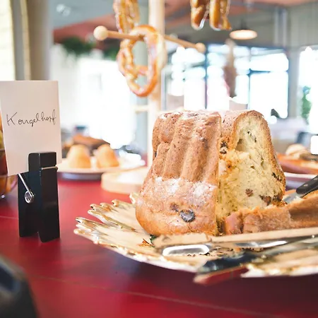 Hotel Greet Mulhouse Cernay (Haut-Rhin)